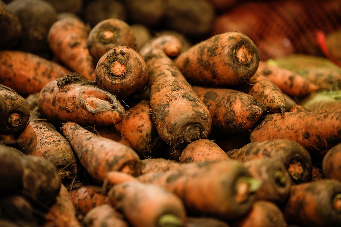 В Крыму резко выросли цены на морковь и картофель
