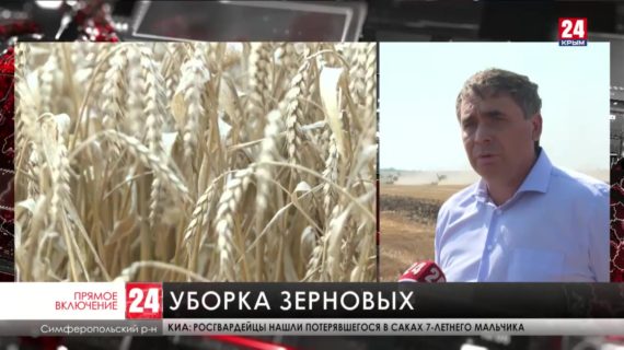 Крымские аграрии обмолотили 60% зерновых и бобовых культур