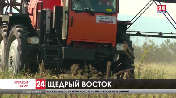 На востоке Крыма собрали урожай и начали подготовку к новому сезону