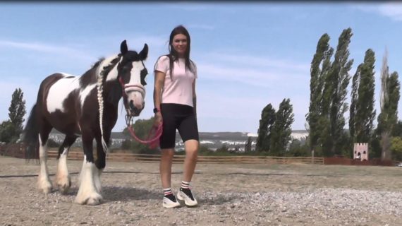 Верблюд из Челябинска и лошадь из Подмосковья: жительница Севастополя спасает от смерти животных со всей страны