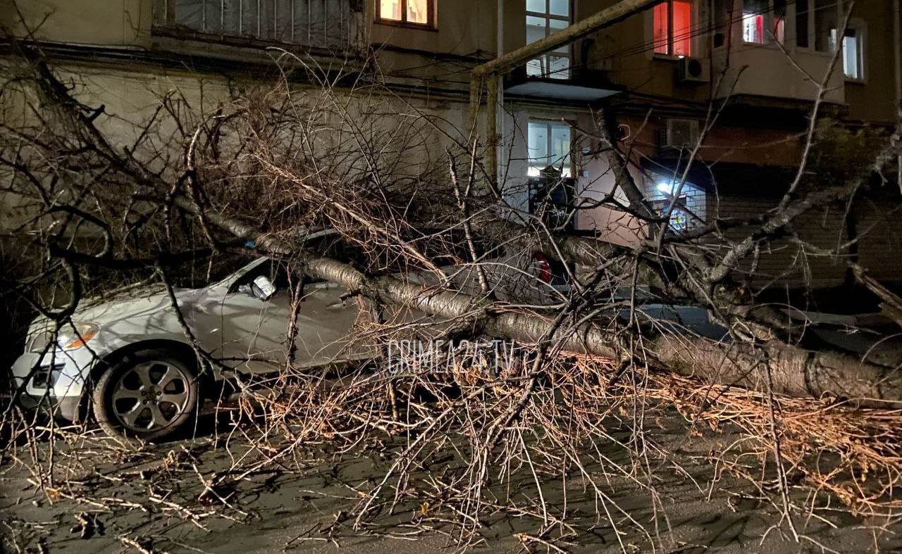 Буря в симферополе сегодня. Ураган в Симферополе. Ураган в Севастополе. Ураган в Крыму сейчас. Ураган в Ялте.