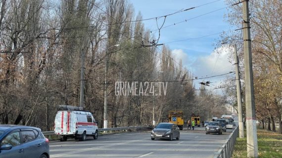 В Симферополе частично перекрыли улицу Киевская, дерево упало на троллейбусные пути