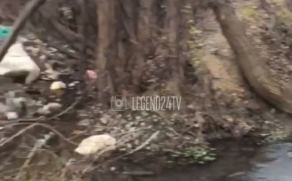 Появилось видео места, где нашли мёртвого младенца в Балаклаве