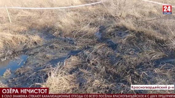 Жители Красногвардейского района жалуются на озеро из нечистот